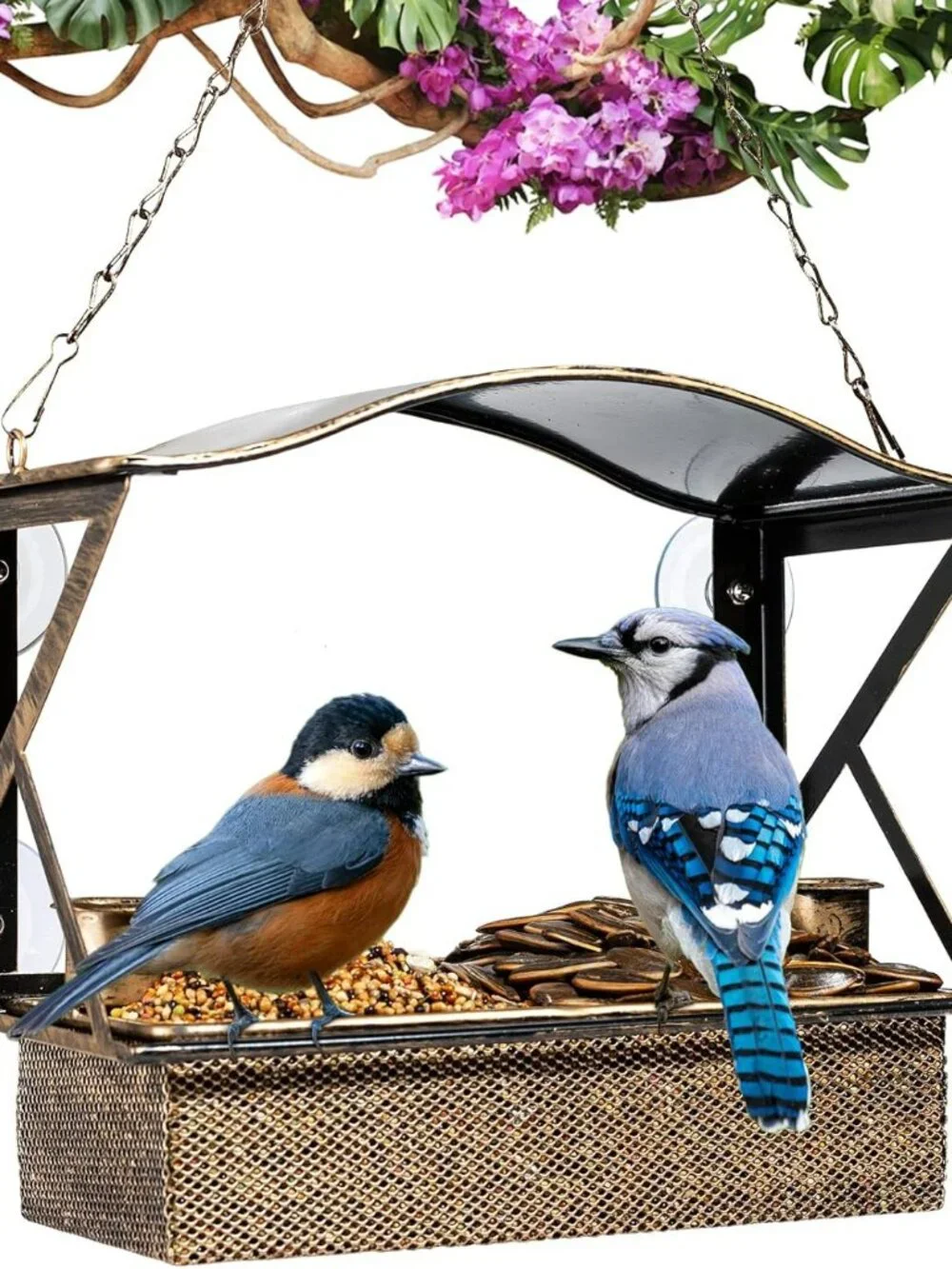 NEW Metal Shockproof Window Bird Feeder with 4 Upgraded Strong Suction Cups